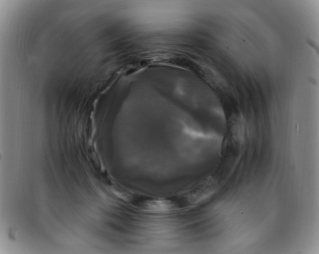 X0000097500316200803142025