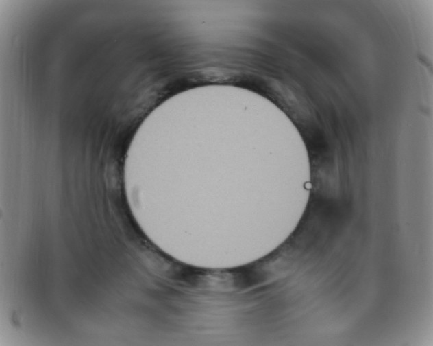 X0000097500317200803142025