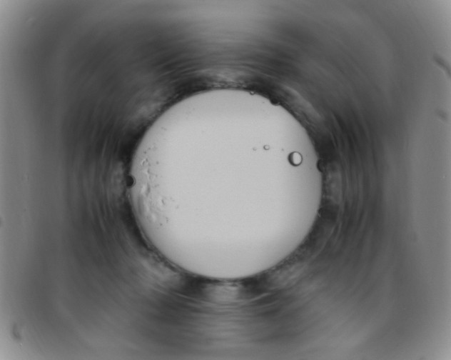 X0000097500318200803142025