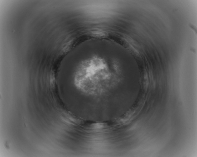 X0000097500320200803142025