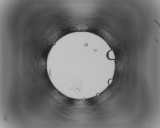 X0000097500321200803142025