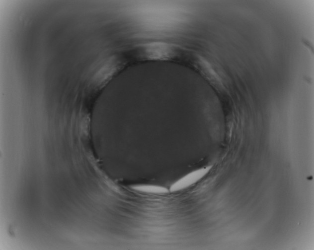 X0000097500325200803142025