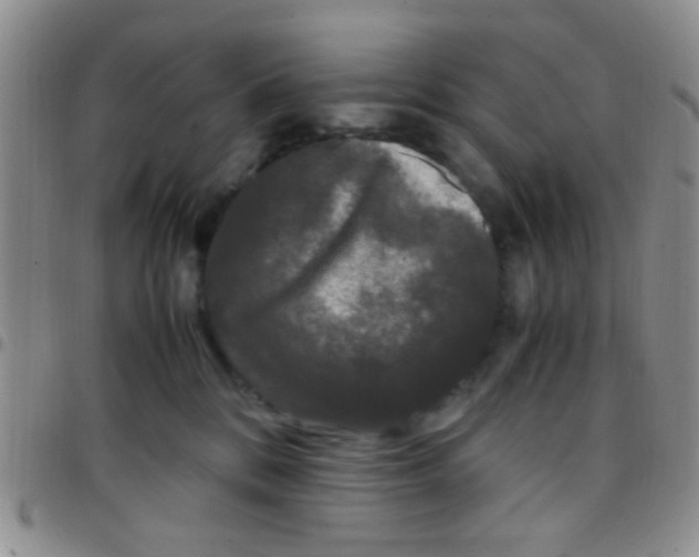 X0000097500328200803142025