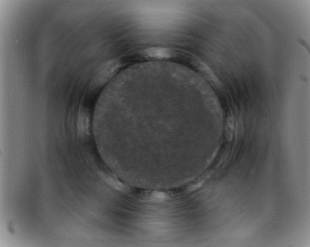 X0000097500330200803142025