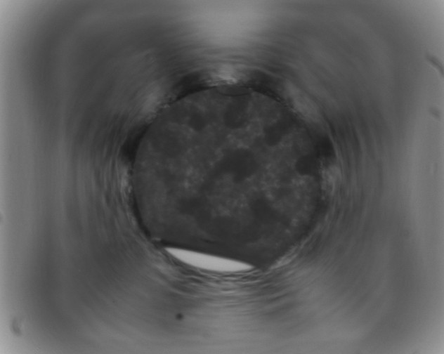 X0000097500331200803142025