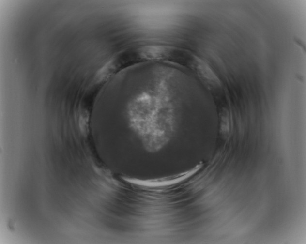 X0000097500332200803142025