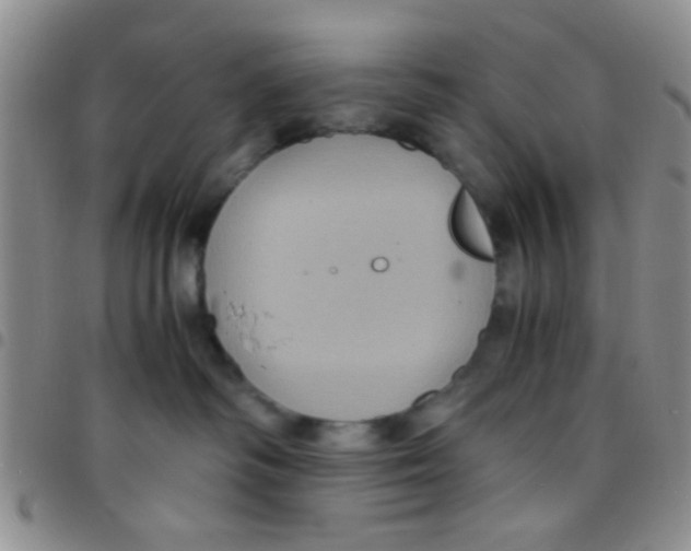 X0000097500334200803142025