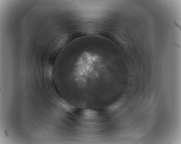 X0000097500336200803142025