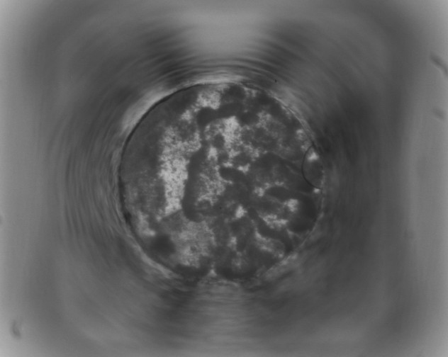 X0000097500337200803142024