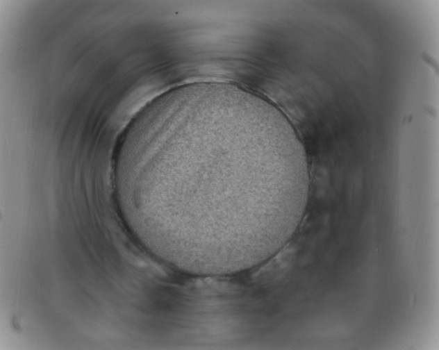 X0000097500338200803142024