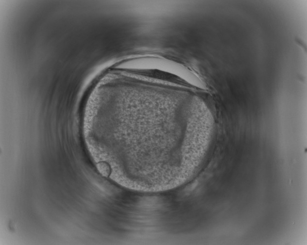 X0000097500342200803142024