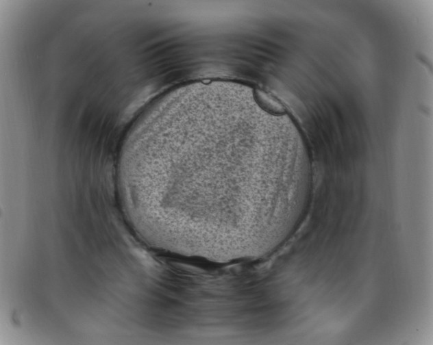 X0000097500345200803142024