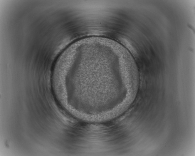 X0000097500346200803142024