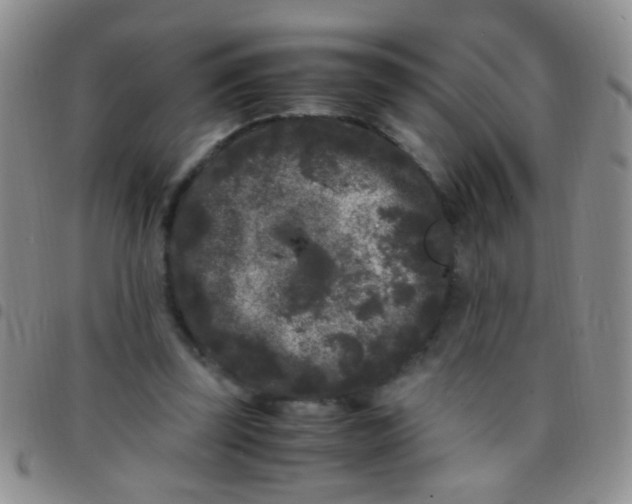 X0000097500347200803142024