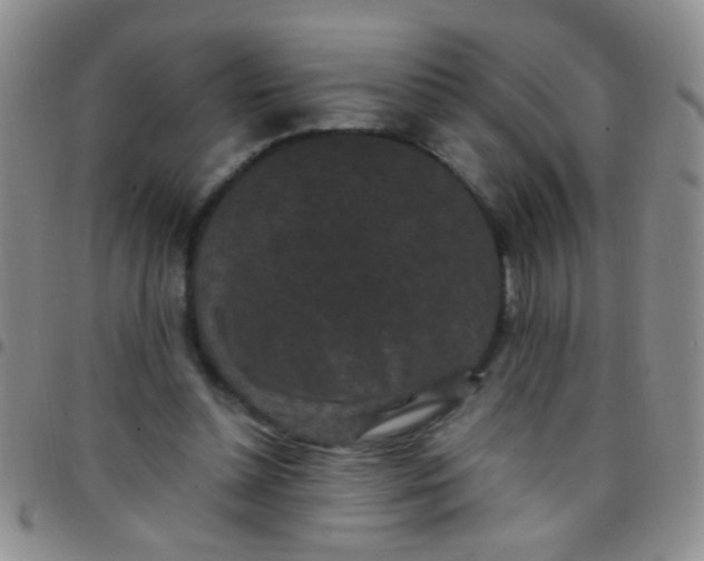 X0000097500348200803142024