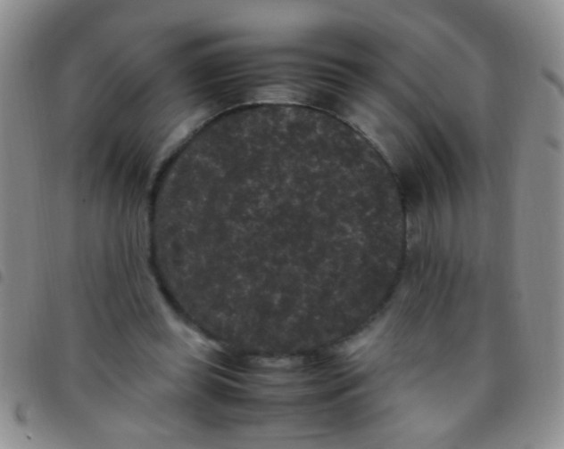 X0000097500349200803142024