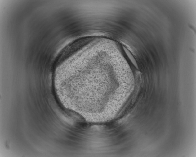 X0000097500350200803142024