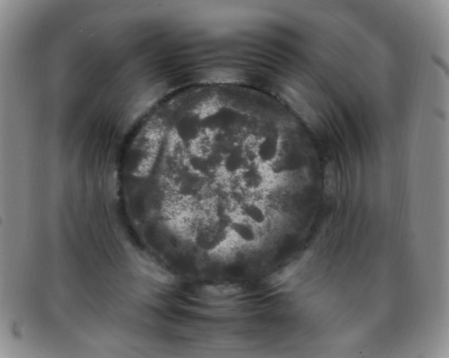 X0000097500351200803142024