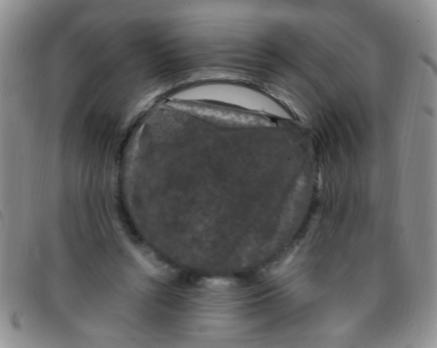 X0000097500352200803142024