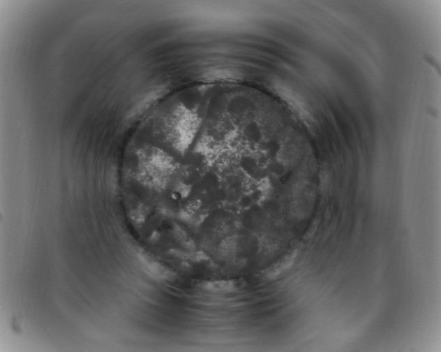 X0000097500353200803142024