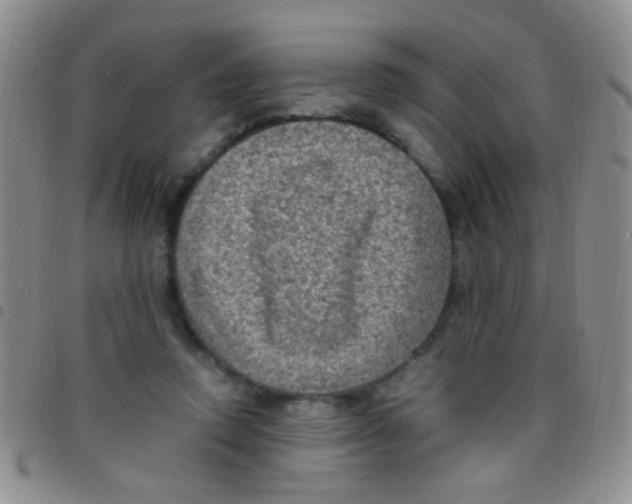 X0000097500354200803142024