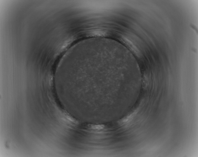 X0000097500355200803142024