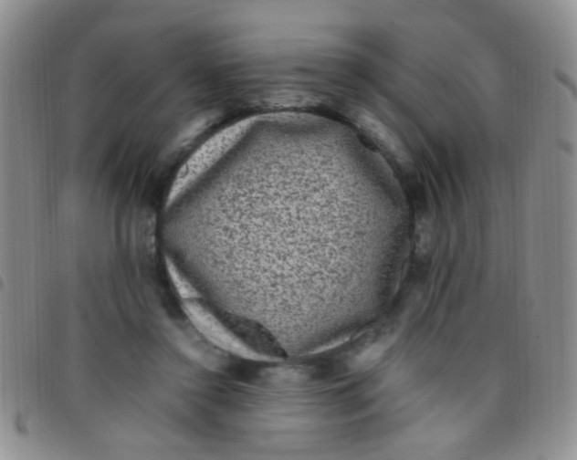 X0000097500356200803142024