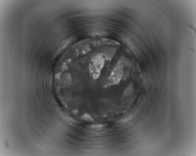 X0000097500357200803142024