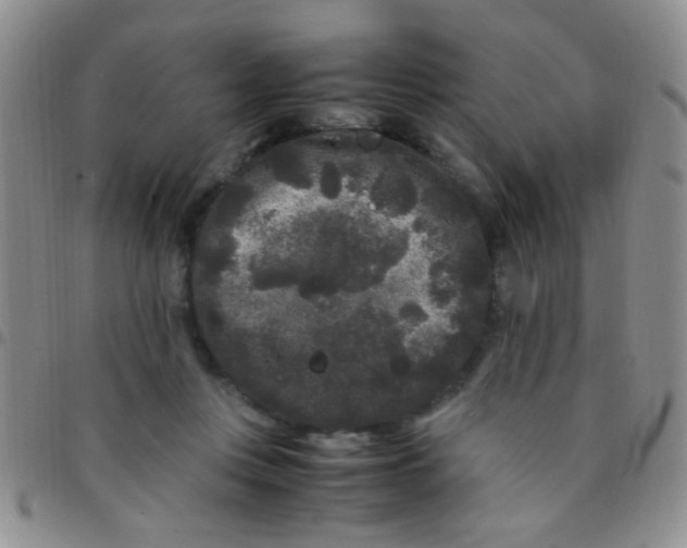 X0000097500359200803142024