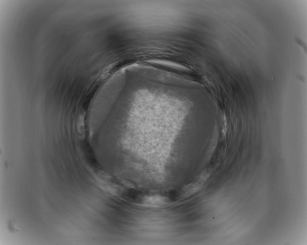 X0000097500360200803142024