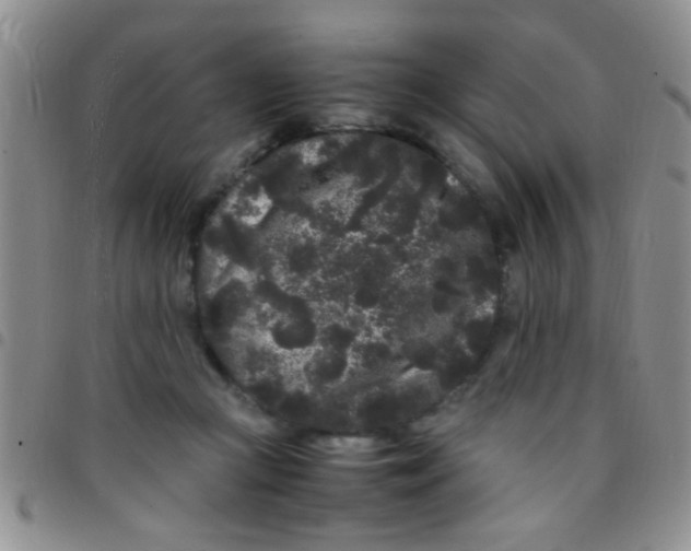 X0000097500361200803142024