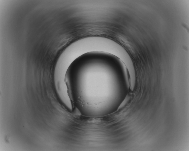 X0000097500362200803142024