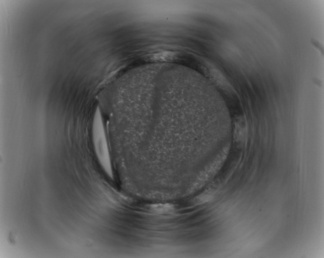 X0000097500363200803142024