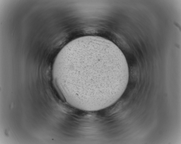 X0000097500364200803142024