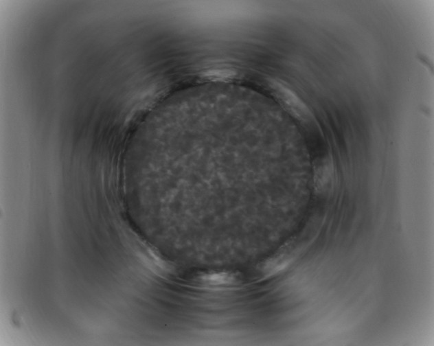 X0000097500365200803142024