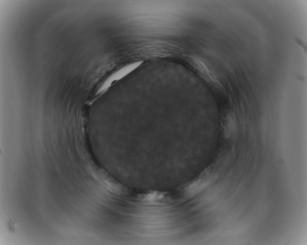 X0000097500366200803142024