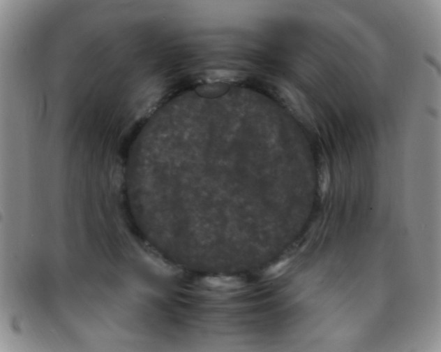 X0000097500367200803142024