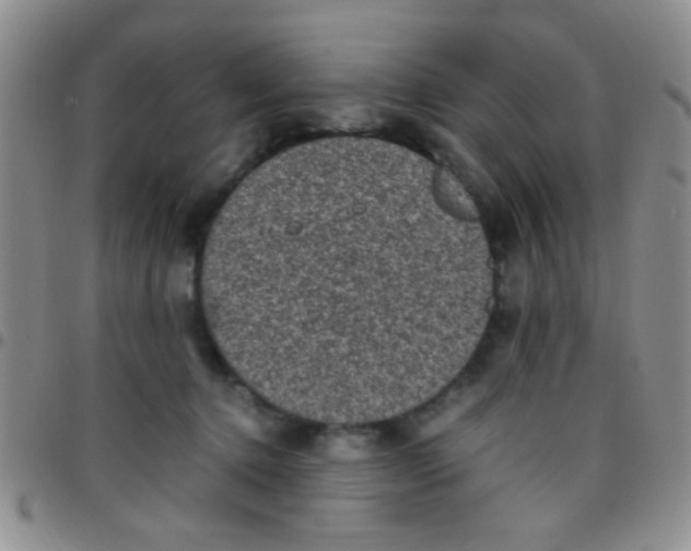 X0000097500368200803142024