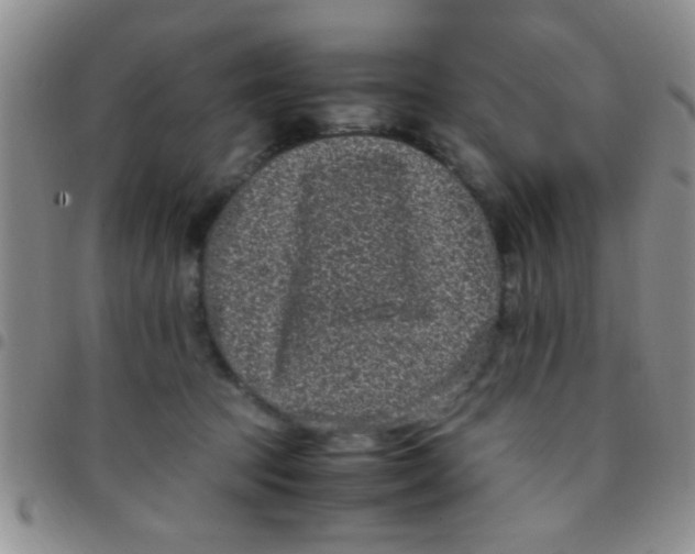 X0000097500369200803142024