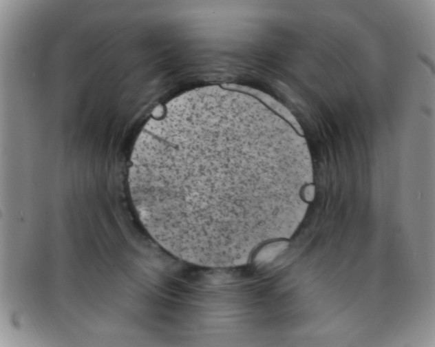 X0000097500370200803142025