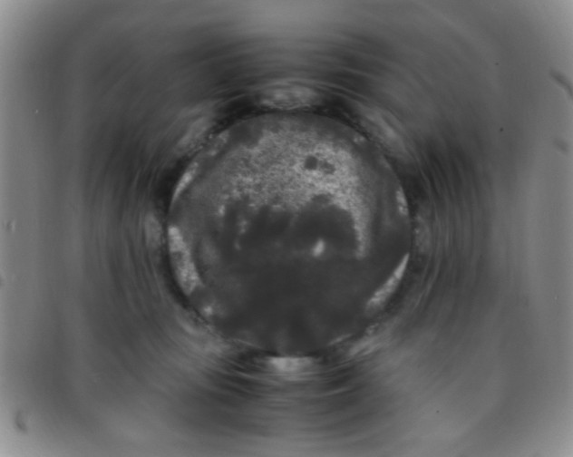 X0000097500371200803142025