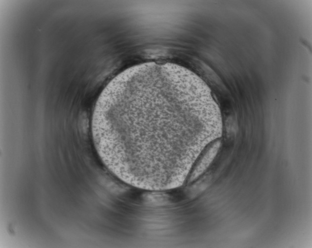 X0000097500372200803142025