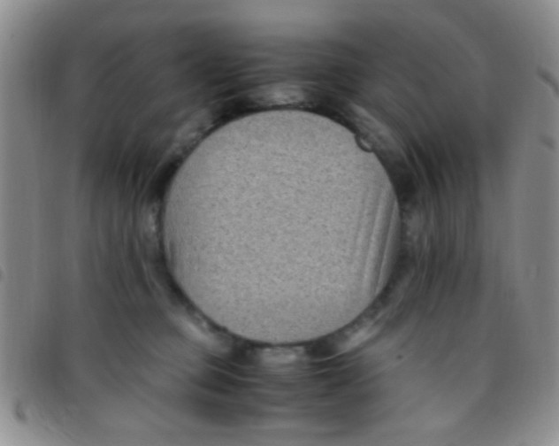 X0000097500373200803142025