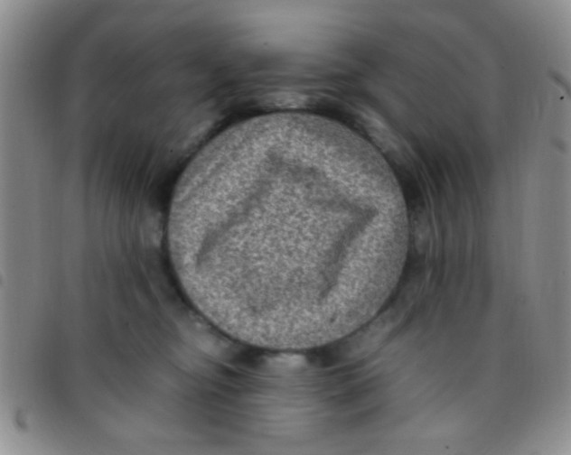 X0000097500374200803142025