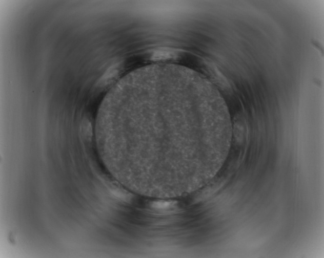 X0000097500375200803142025