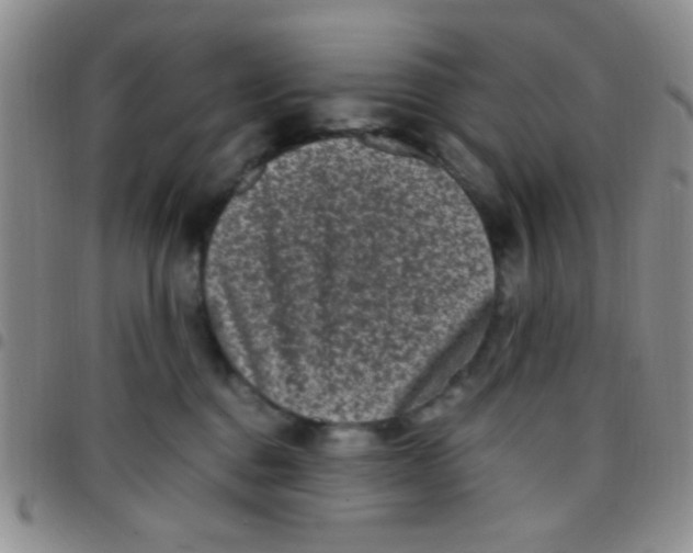 X0000097500376200803142025