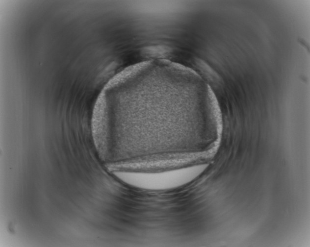 X0000097500377200803142025