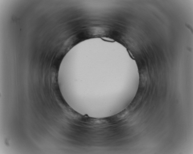 X0000097500379200803142025