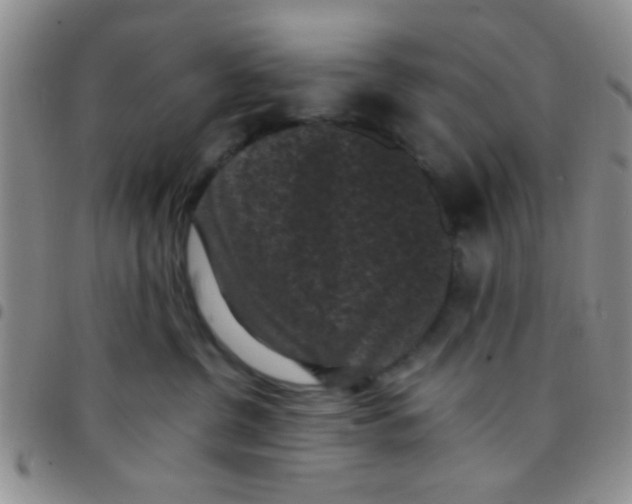 X0000097500380200803142025