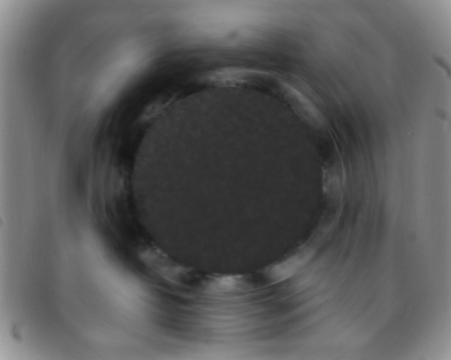 X0000097500382200803142025